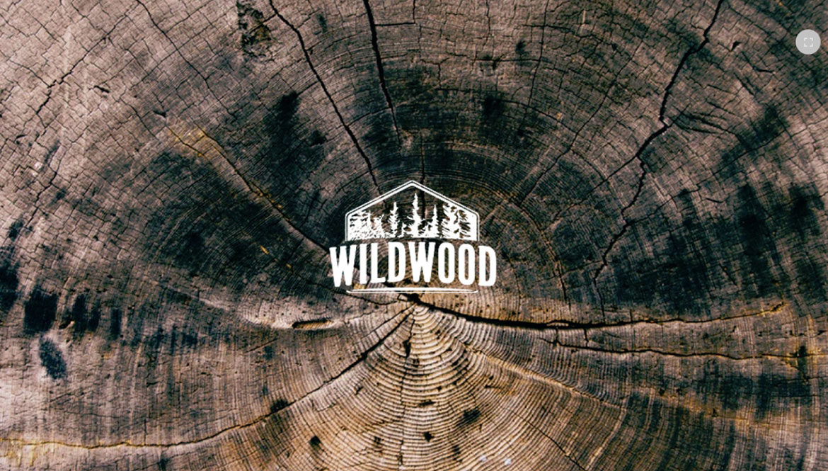 Wildwood внедрение на рынок